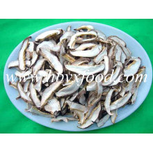 Cultivated High Quality Dried Shiitake Mushroom Slice, ISO Mushroom